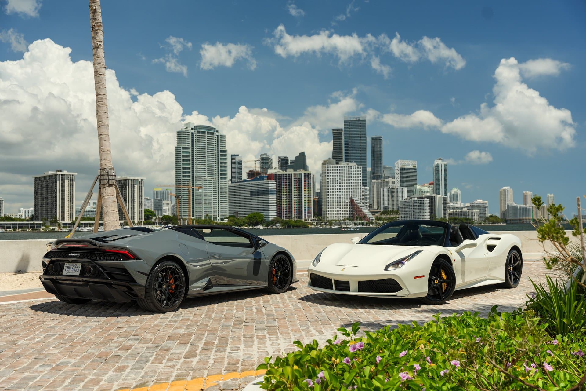 Luxury exotic cars in Tampa Bay